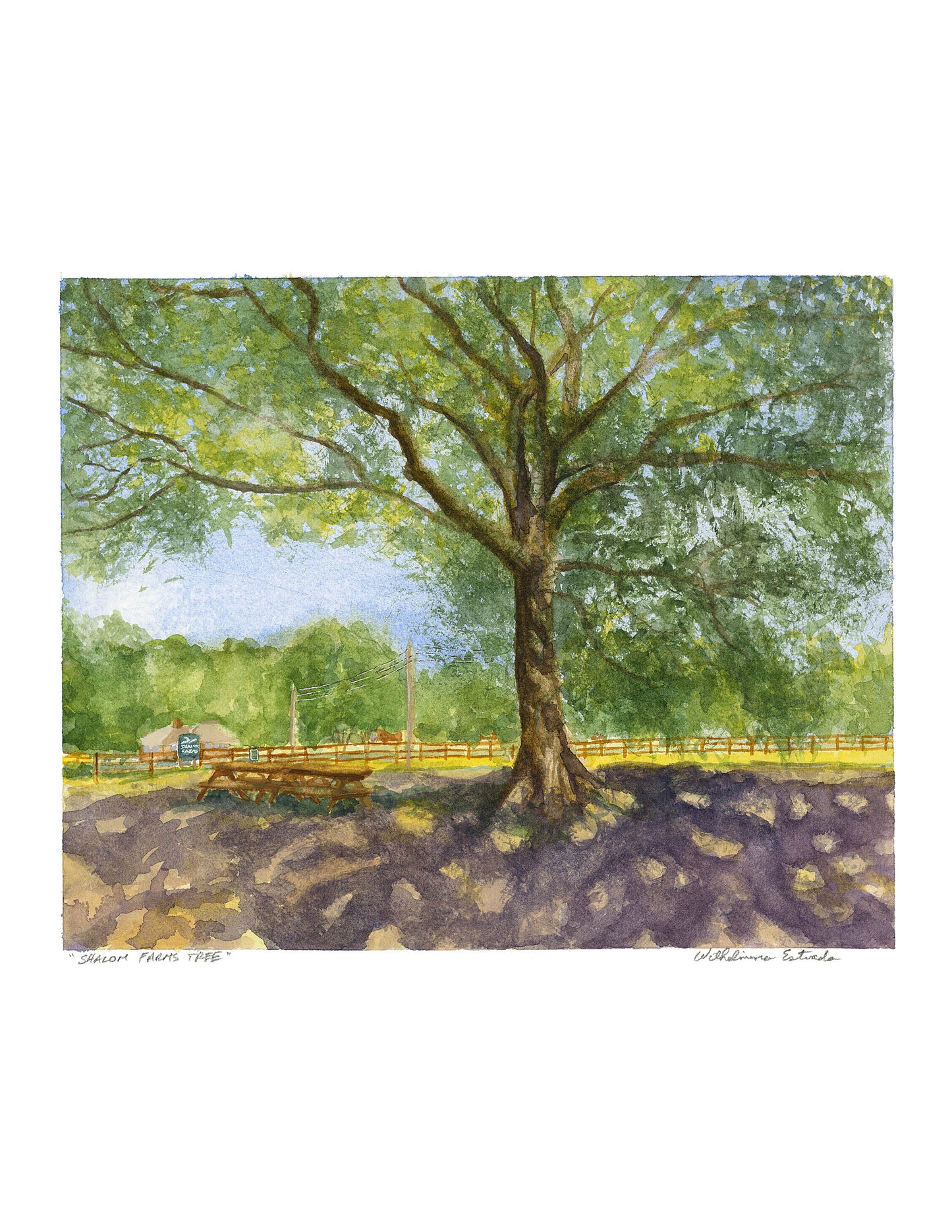 Shalom Farms Tree