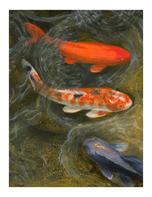 Koi series #3