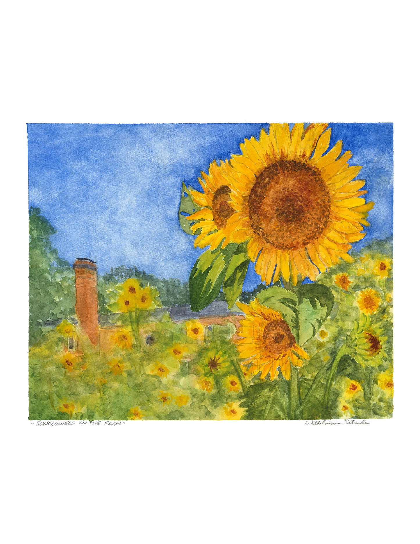 Sunflowers on the Farm
