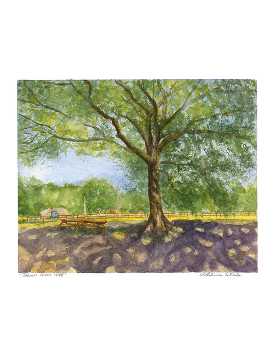 Shalom Farms Tree