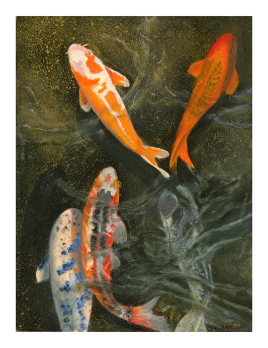 Koi series #4